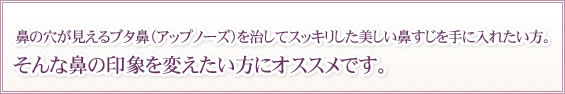 鼻の穴が見えるブタ鼻(アップノーズ)を治してスッキリした美しい鼻すじを手に入れたい方。そんな鼻の印象を変えたい方にオススメです。