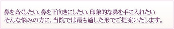 鼻を高くしたい、鼻を下向きにしたい、印象的な鼻を手に入れたい
そんな悩みの方に、当院では最も適した形でご提案いたします。